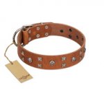 "Enchanted Skulls" FDT Artisan Tan Leather Pitbull Collar with Chrome Plated Skulls