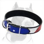 Hand painted by our artists leather dog collar - American Pride