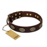 'Chocolate kiss' FDT Artisan Leather Pitbull Collar with Old Bronze Look Oval Plates