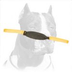 'Firm Bite' Pitbull Training Tug of Leather