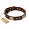 "Shining Armour" FDT Artisan Brown Leather Pitbull Collar with Decorations