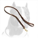 Hand-Braided Pitbull Dog Leash of Full Grain Latigo Leather
