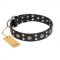 'Refined Essence' FDT Artisan Black Leather Pitbull Dog Collar with Silvery Studs - 1 1/2 inch (40 mm) Wide