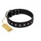 "Silver Flower" Exclusive FDT Artisan Black Leather Pitbull Collar with Silver-Like Studs