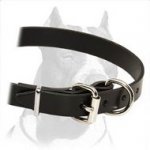 Best Quality Leather Dog Collar for Pitbull