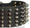 3 inch Spiked Leather Dog Collar for Pitbull