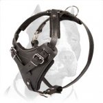 Sturdy Agitation/Protection Leather Dog Harness for Pitbull