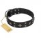 "Star Excitement" Modern FDT Artisan Black Leather Pitbull Collar with Studs and Stars