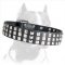 The High-grade Leather Collar with 3 Rows of Nickel Pyramids - A Dazzling Beauty for your Pitbull