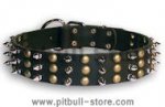PITBULL Studded Black dog collar 20 inch/20'' collar - S59