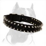 Black Nylon Pitbull Dog Collar with 2 Rows of Spikes
