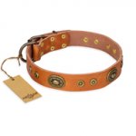 'Dandy Pet' FDT Artisan Decorated Tan Leather Pitbull Collar