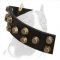 Lovely Leather Pitbull Collar