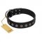 "Silent Star" Handmade FDT Artisan Designer Black Leather Pitbull Collar with Engraved Plates