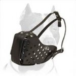 Attack/Agitation Training Leather Muzzle for Pitbull