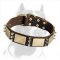 Gorgeous War Style Leather Dog Collar with massive bras plates+3 spikes