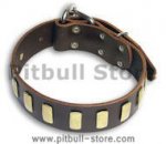 PITBULL Personalize Brown collar 23'' /23 inch dog collar - S33p