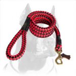 Cord-Looking Nylon Pitbull Dog Leash for Different Activities