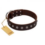 "Spring Flower" Stylish FDT Artisan Brown Leather Pitbull Collar for Comfy Walks