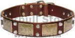 PITBULL Leather Dog Collar- brass massive + 2 pyramids