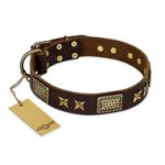 "Sparkling Bronze" FDT Artisan Brown Leather Pitbull Collar with Goldish Adornments