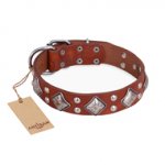 "Magic Squares" FDT Artisan Royal Quality Tan Leather Pitbull Collar