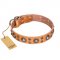 "Extra Sparkle" FDT Artisan Genuine Leather Pitbull Collar of Tan Color