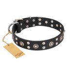 'Refined Essence' FDT Artisan Black Leather Pitbull Dog Collar with Silvery Studs - 1 1/2 inch (40 mm) Wide