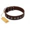 "Starry-Eyed" Best Quality FDT Artisan Brown Designer Leather Pitbull Collar with Small Plates
