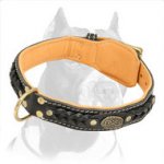 Beautiful Nappa Padded Hand Made Leather Pitbull Dog Collar