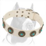 White Leather Dog Collar for Pitbull Exclusive Hand-Made Design