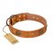 "Sun Beams" FDT Artisan Tan Leather Pitbull Collar with Decorations