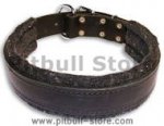 Padded Black collar 26'' for PITBULL /26 inch dog collar-C24