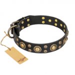 'Baroque Chic' FDT Artisan Pitbull Studded Black Leather Dog Collar