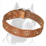 'Elegant Flower' Pitbull Leather Dog Collar