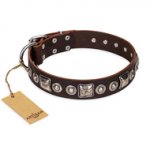 'Pierian spring' FDT Artisan Brown Leather Pitbull Dog Collar with Silvery Decorations - 1 1/2 inch (40 mm) wide