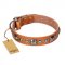 'Era of Future' FDT Artisan Handcrafted Tan Leather Pitbull Dog Collar with Decorations