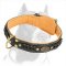 Beautiful Nappa Padded Hand Made Leather Pitbull Dog Collar