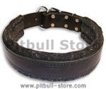 Leather dog collar with thick felt for all breeds - 1.5" width
