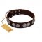 "High and Mighty" FDT Artisan Classy Brown Leather Pitbull Collar with Embellished Brooches