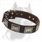 Luxury Leather Dog Collar for Pitbull