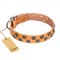 "Precious Sparkle" FDT Artisan Handcrafted Tan Leather Pitbull Collar