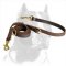 Premium Quality Pitbull Dog Leash with Two Snap Hooks