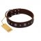 "Pure Sensation" Exclusive FDT Artisan Brown Leather Pitbull Collar with Fancy Brooches and Studs
