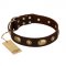 "Hebe's Jewel" FDT Artisan Brown Genuine Leather Pitbull Collar