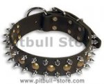 APBT 3 Rows Leather Spiked and Studded Dog Collar- Spiked Collar