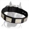 Nylon Dog Collar With Beautiful Vintage Plates for Pitbull