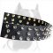 High-quality Leather Collar with 3 Rows of Spikes for your Marvellous Pitbull