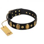 "Venerable Pawty" FDT Artisan Black Leather Pitbull Collar with Old Bronze-like Ovals and Studs