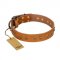 'Autumn Story' FDT Artisan Leather Pitbull Collar with Old Bronze Look Studs - 1 1/2 inch (40 mm) wide